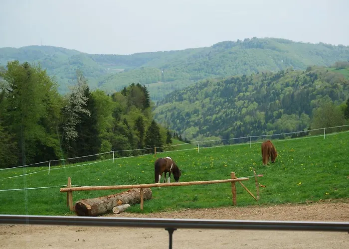La Joux Chaupe