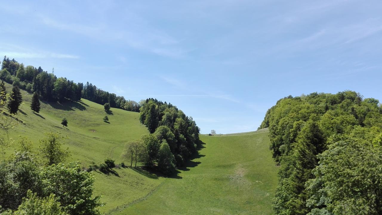 Apartment La Joux Chaupe