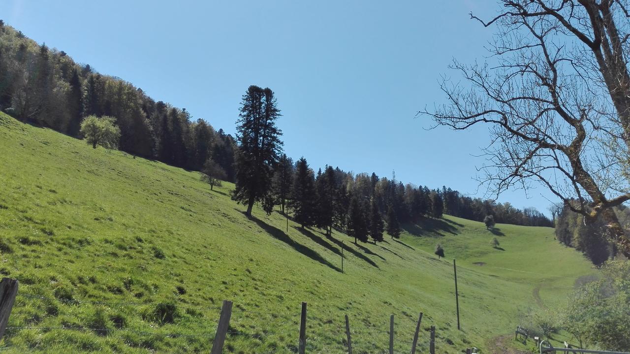 Apartment La Joux Chaupe Saint-Ursanne